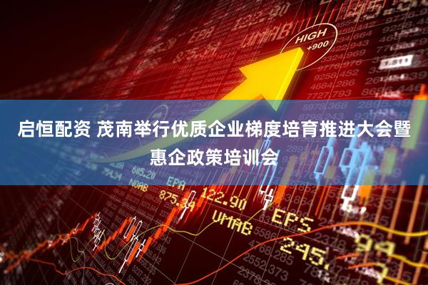 启恒配资 茂南举行优质企业梯度培育推进大会暨惠企政策培训会