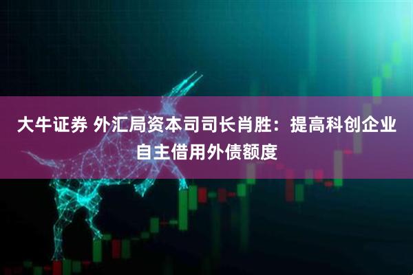 大牛证券 外汇局资本司司长肖胜：提高科创企业自主借用外债额度