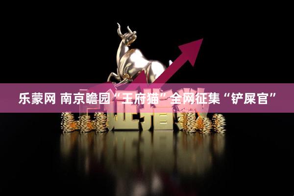 乐蒙网 南京瞻园“王府猫”全网征集“铲屎官”