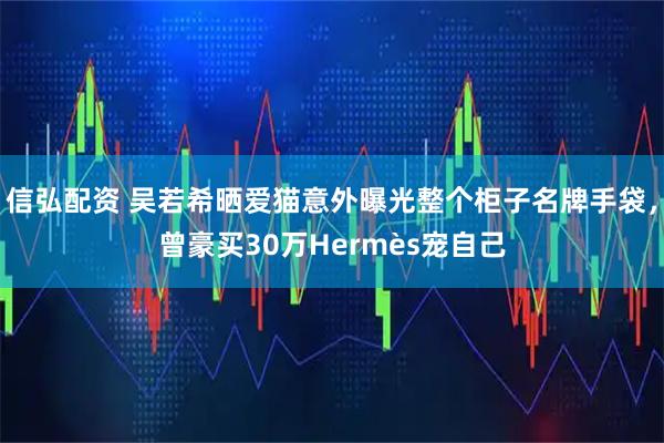 信弘配资 吴若希晒爱猫意外曝光整个柜子名牌手袋，曾豪买30万Hermès宠自己