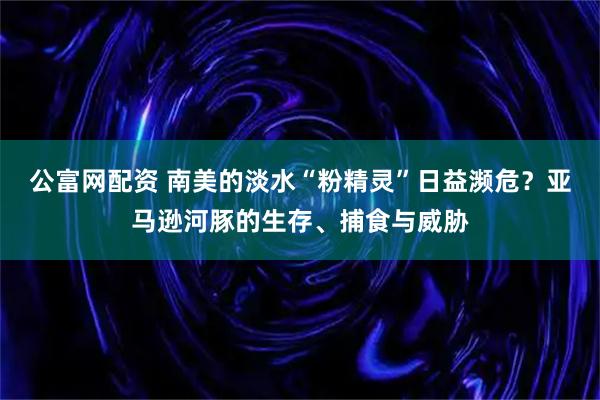 公富网配资 南美的淡水“粉精灵”日益濒危?亚马逊河豚的生存、捕食与威胁