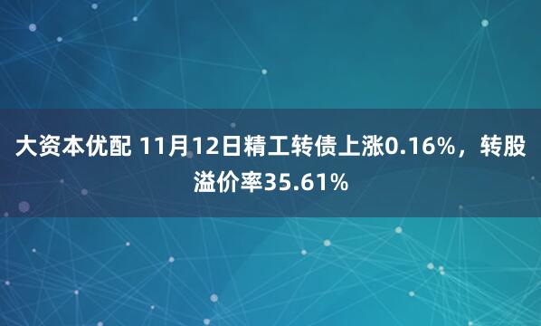 大资本优配 11月12日精工转债上涨0.16%,转股溢价率35.61%